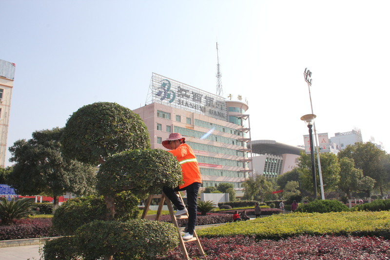 5、园林工在修剪树木.JPG